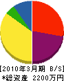 天田硝子店 貸借対照表 2010年3月期
