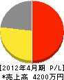 阪本電機 損益計算書 2012年4月期