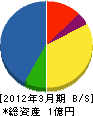 早川建設 貸借対照表 2012年3月期