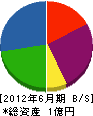 日東鑿井工業所 貸借対照表 2012年6月期