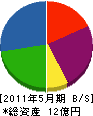 高千穂 貸借対照表 2011年5月期
