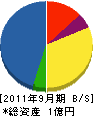 日本テクニカルサポート 貸借対照表 2011年9月期