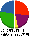 手塚建材 貸借対照表 2010年3月期