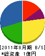 山川 貸借対照表 2011年8月期