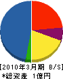 井村電気商会 貸借対照表 2010年3月期
