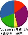 菅設備 貸借対照表 2012年11月期