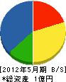 藤沢組 貸借対照表 2012年5月期