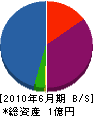 竹松組 貸借対照表 2010年6月期