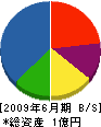 中川工務店 貸借対照表 2009年6月期