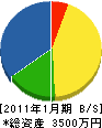 長瀞土木 貸借対照表 2011年1月期