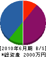 鈴木建設工業 貸借対照表 2010年6月期