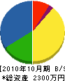 庄司鉄工場 貸借対照表 2010年10月期