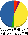 大橋電気商会 貸借対照表 2008年5月期