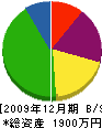 新井塗装店 貸借対照表 2009年12月期