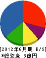 宮崎ユニット工業 貸借対照表 2012年6月期