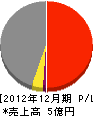 川田組 損益計算書 2012年12月期