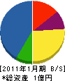 昭和通信サービス 貸借対照表 2011年1月期