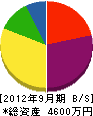 三栄工業所 貸借対照表 2012年9月期