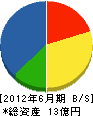 塚本建設 貸借対照表 2012年6月期