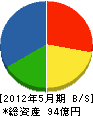 源川医科器械 貸借対照表 2012年5月期