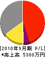 木沢電気工業所 損益計算書 2010年9月期