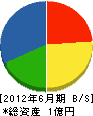 東札幌配管工業 貸借対照表 2012年6月期