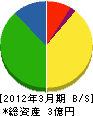 村瀬電気 貸借対照表 2012年3月期