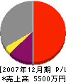 松本建築 損益計算書 2007年12月期