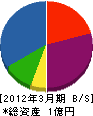 桧山化研 貸借対照表 2012年3月期