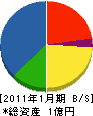 辻田建機 貸借対照表 2011年1月期