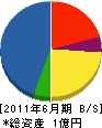 津川興業 貸借対照表 2011年6月期