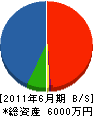 日本緑地 貸借対照表 2011年6月期