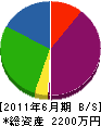 長野企画開発 貸借対照表 2011年6月期