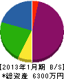 石田工務店 貸借対照表 2013年1月期