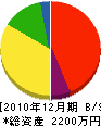 佐藤建設 貸借対照表 2010年12月期