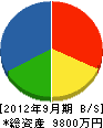 田中電気商会 貸借対照表 2012年9月期