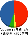 長尾 貸借対照表 2008年11月期