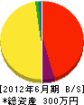 竹内電気工事事務所 貸借対照表 2012年6月期