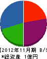 大阪ユニロン 貸借対照表 2012年11月期