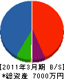 宮崎ラビットポンプ 貸借対照表 2011年3月期