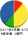 東京建設コンサルタント 貸借対照表 2011年9月期