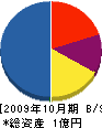 杏明 貸借対照表 2009年10月期