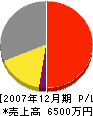角田産業 損益計算書 2007年12月期