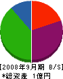 藤栄建設 貸借対照表 2008年9月期