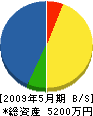 松嵜組 貸借対照表 2009年5月期