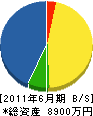 奥九州開発 貸借対照表 2011年6月期