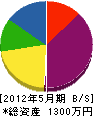 高谷住研総業 貸借対照表 2012年5月期
