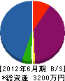 宮崎鉄工 貸借対照表 2012年6月期