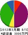 大谷電気商会 貸借対照表 2012年3月期