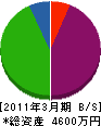 丸亀亀岡塗装 貸借対照表 2011年3月期
